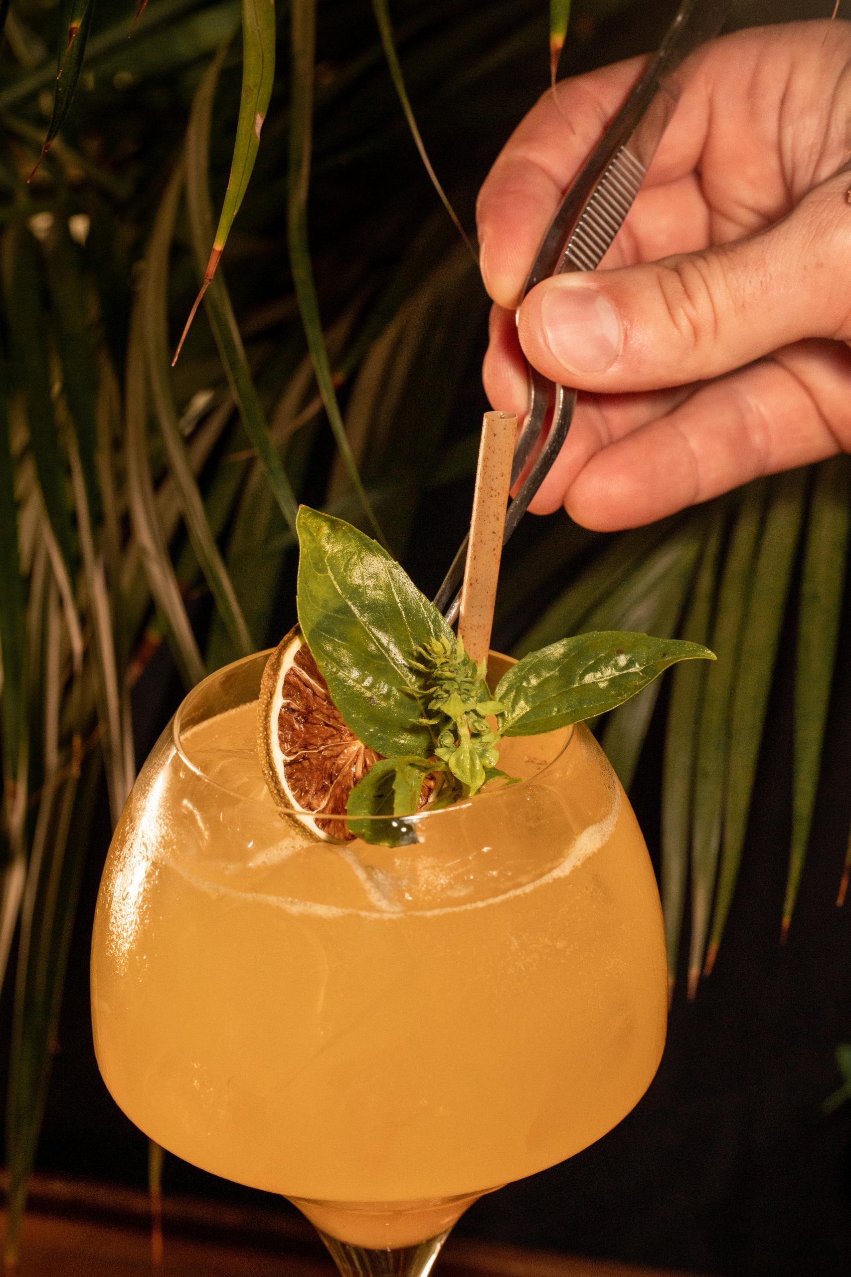 restaurante kentia-60