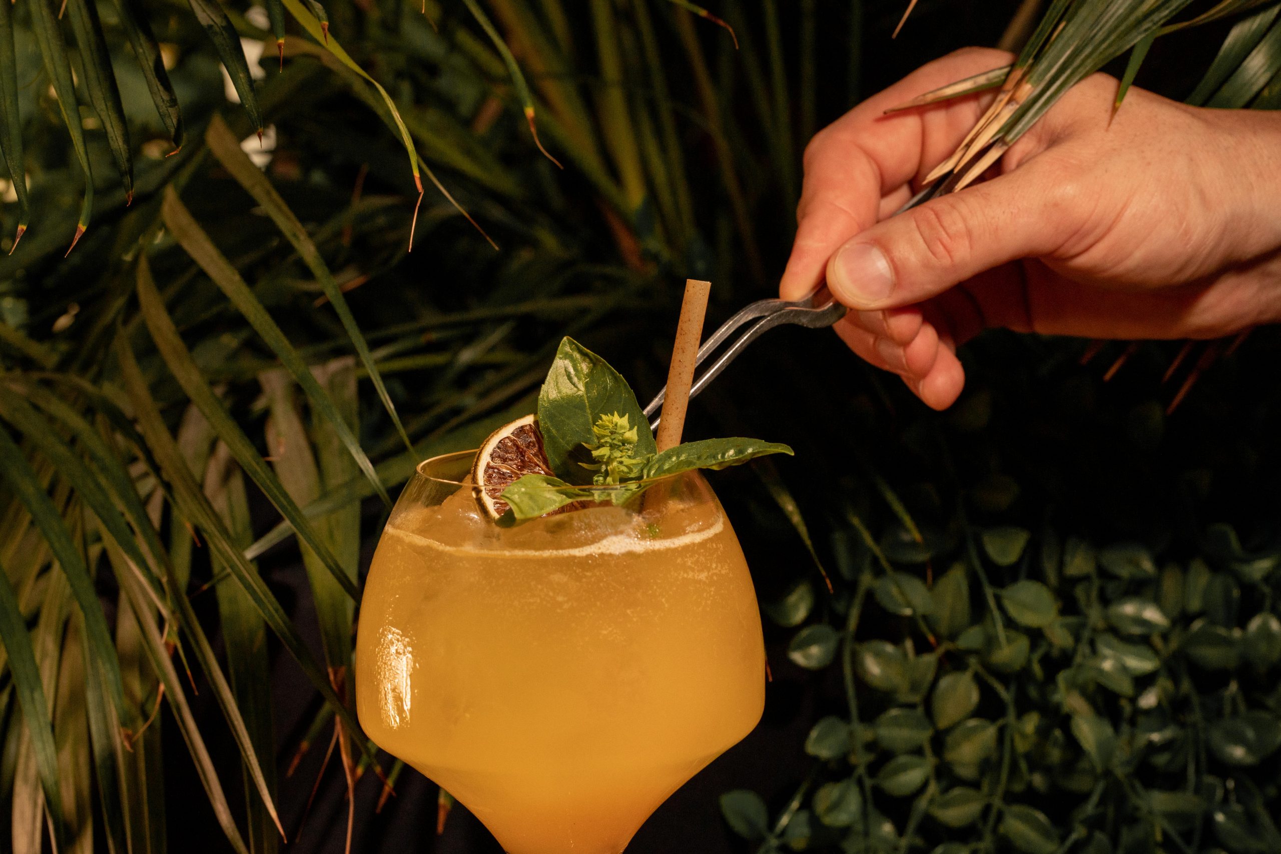 restaurante kentia-65