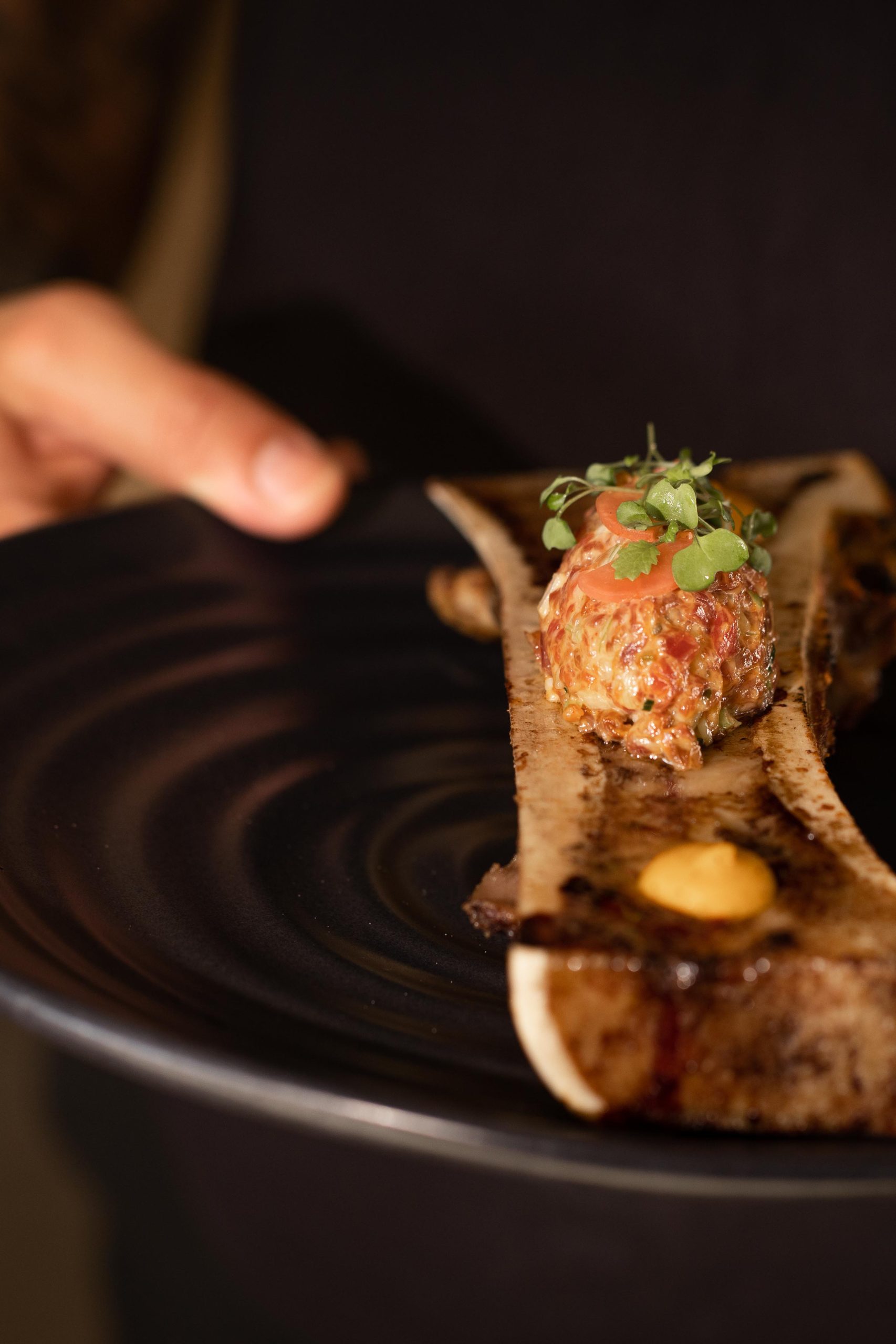 anaviciosa-47 vertical