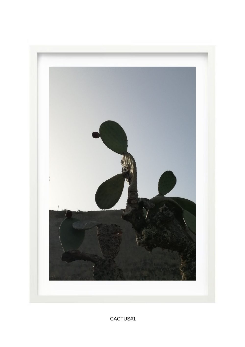 fotografía lanzarote