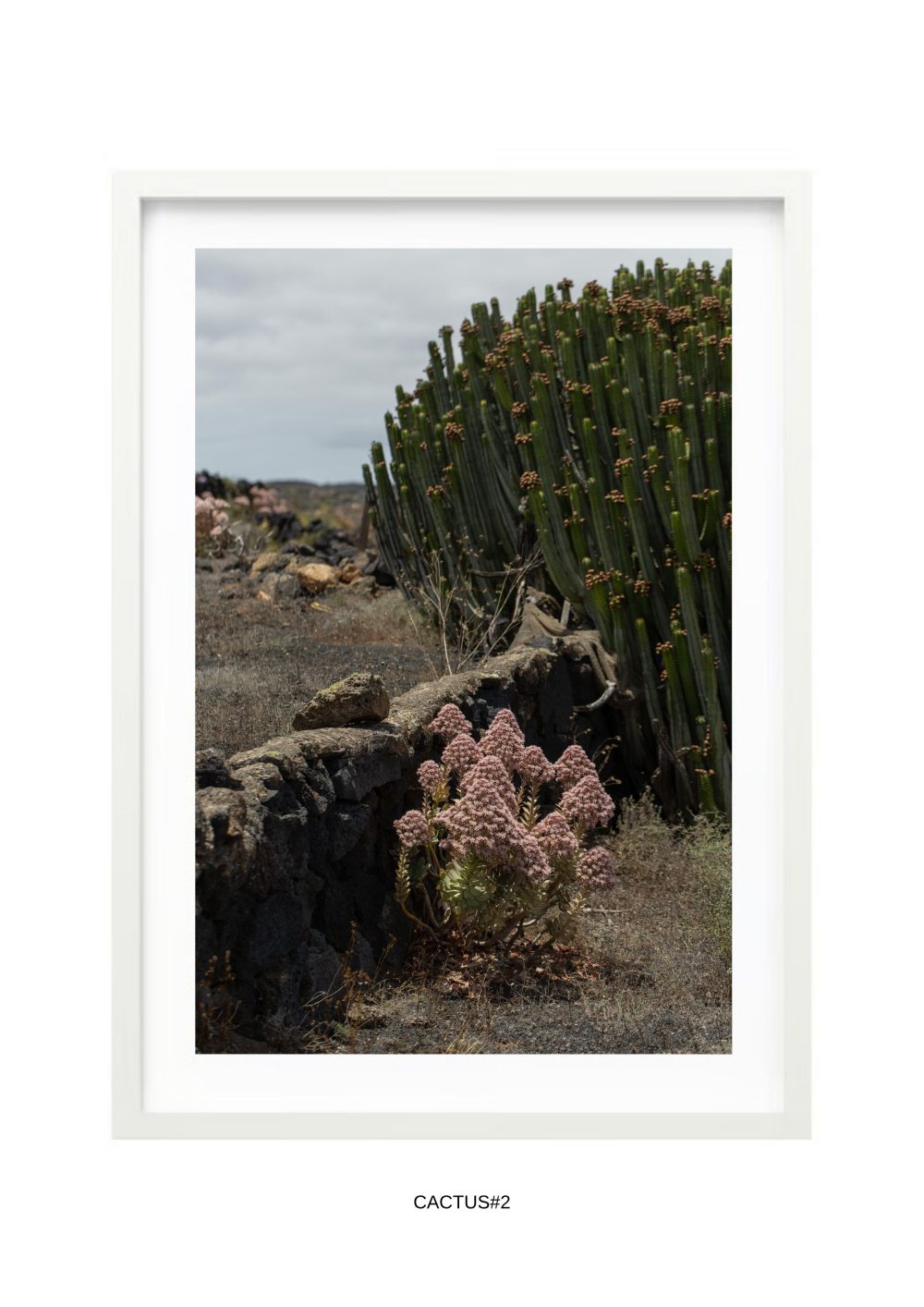 fotografía lanzarote