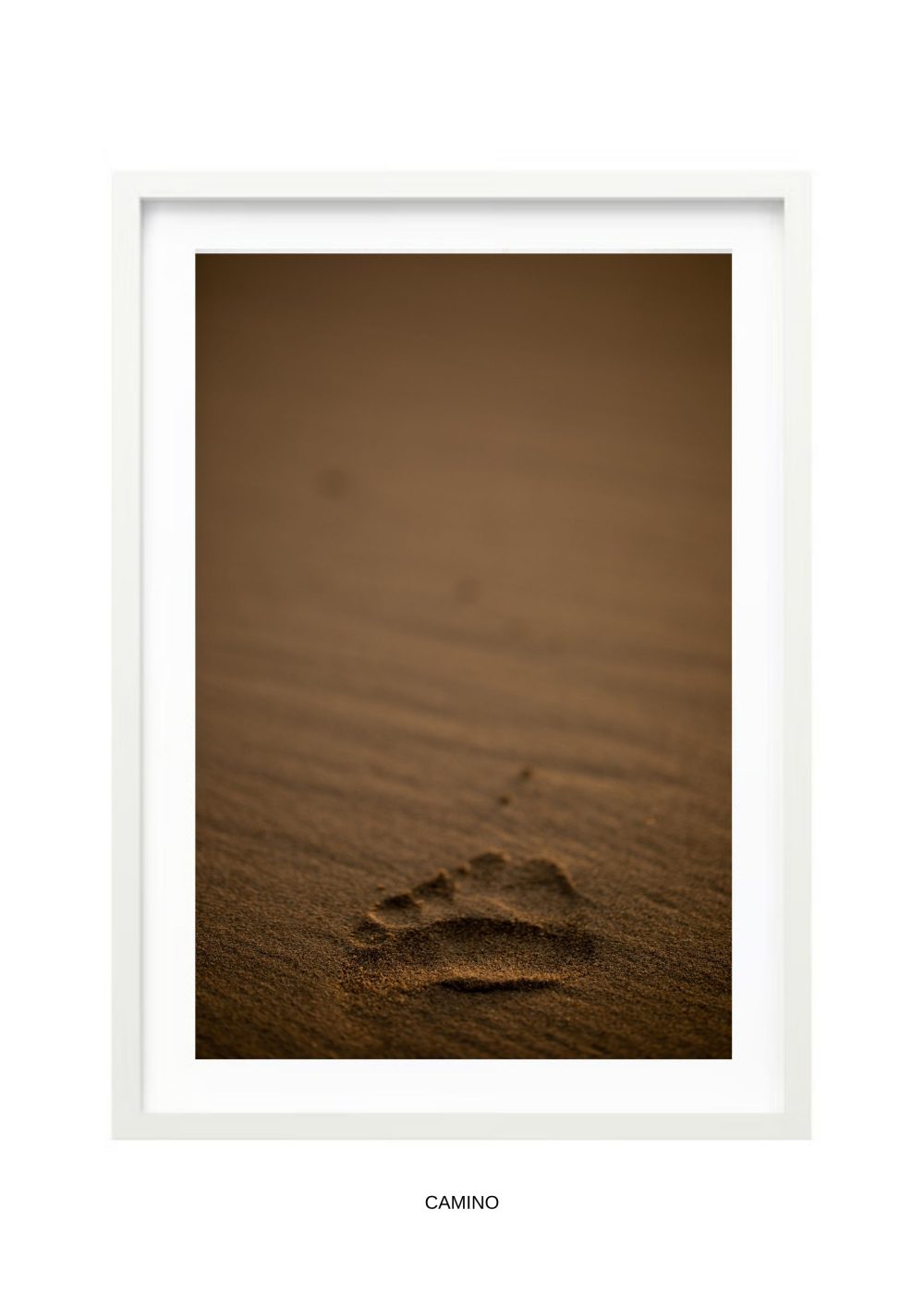 fotografía lanzarote