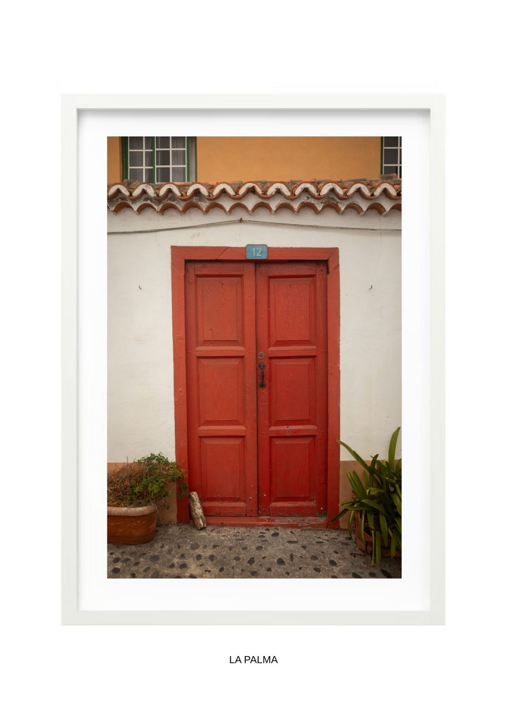 fotografía la palma