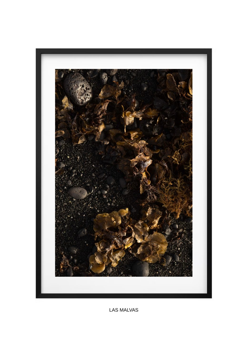 fotografía lanzarote